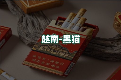 越南黑猫